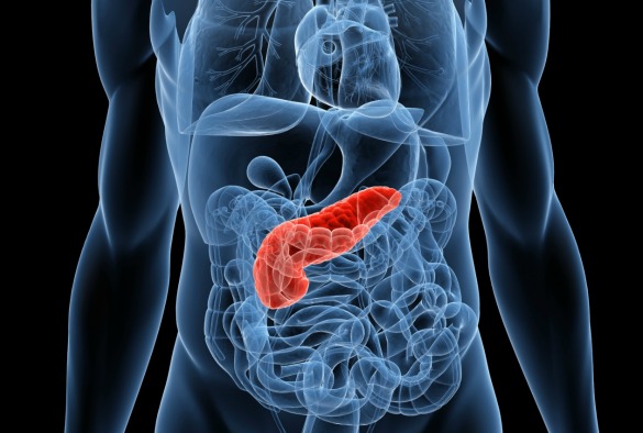 Pancreas