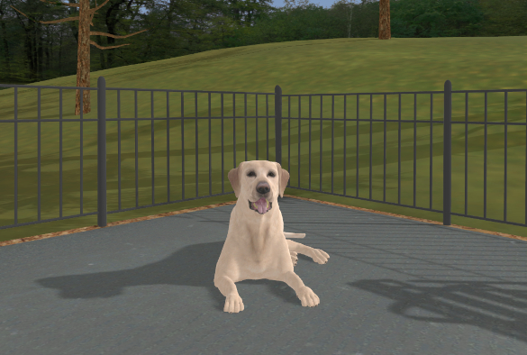 a virtual labrador