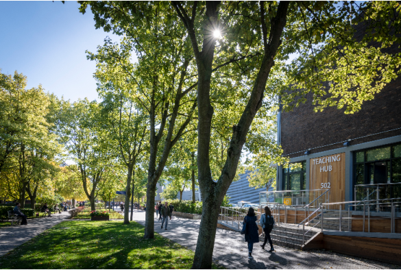 Teaching Hub Students Campus