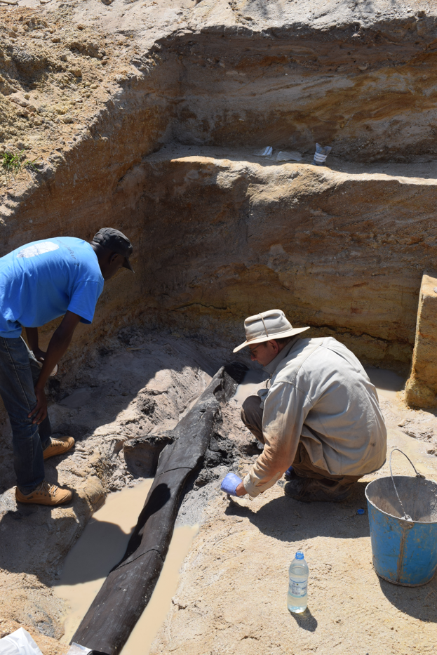 The excavation team uncovering the wooden wedge
